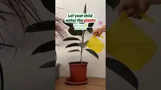Let your child water the plants, to know why follow us on Instagram @reflectwithinforkids