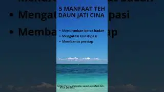 5 Manfaat Teh Daun Jati Cina #herbal #quotes #tipsmanfaat #kesehatan #tipsbermanfaat #manfaat