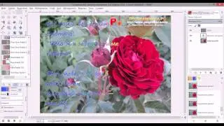 Текст в GIMP. Создаём поздравительную открытку