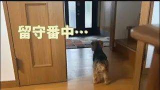 カメラを見返して切なくなりました…