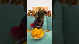 НАСТОЯЩИЕ СЕСТРЫ❤