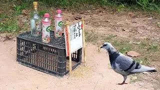 Creative Best Bird Trap Technology - Build Quick Bird Trap Make from Basket And Wood That Work 100%