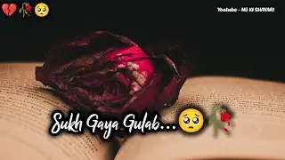 Sukh Gaya Gulab 🥺🥀| Rose Day Status 🌹| Sad Shayari Status | Rose Day Shayari Video @mjkishayari 