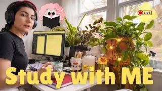 Study With Me LIVE | Continuing the Deadline | Focus Session