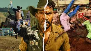 Bull Riding Cowboys VS Indian Bull Tamers &ndash; Who&rsquo;s More Unhinged?