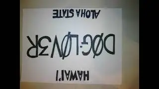 License Plate Art Project