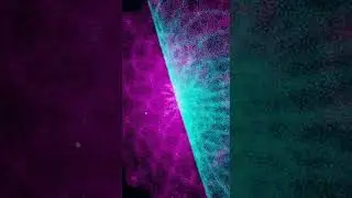Galaxy Clusters Hide Unequal Temperatures | X-Ray Plasma Discovery
