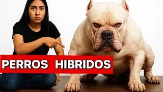 Las 15 Razas De Perros M&aacute;s Raros Del Mundo Son Bestias De Laboratorios 🧪