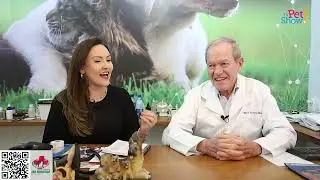 Sistema imunol&oacute;gico dos animais | TV Pet Show | 31.01.26