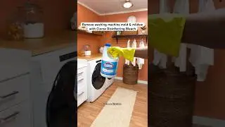 Remove Washing Machine Mold & Mildew with Clorox Disinfecting Bleach