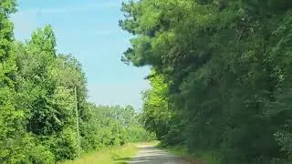 Leaving the river and getting a dragonfly out of the car