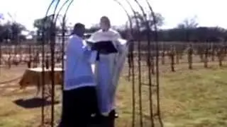 Annual Blessing of the Vines