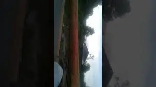 Tradisi kuantan singingi