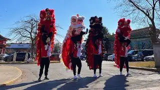 Toronto Wai Mo Lion Dance Team