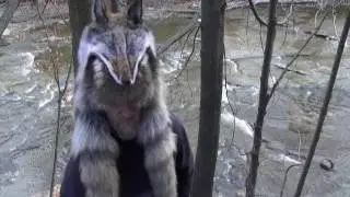 Mens Coyote fur hat