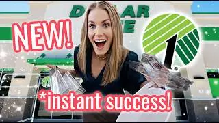 INSTANT Dollar Tree Organization You'll ACTUALLY Use ✨