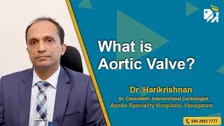 What is Aortic Valve?