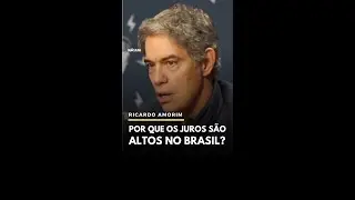 Por que os juros s&atilde;o altos no Brasil?