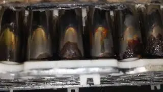 #ev inspection of cell in battery. Please don't try at home.