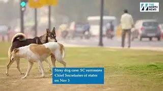 Stray dog case: SC summons Chief Secretaries of&nbsp;states&nbsp;on&nbsp;Nov&nbsp;3.