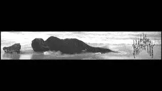 Slashpine - The Camp