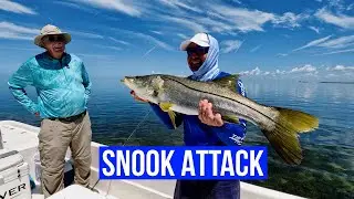 The Villages Deep Sea Fishing Club - Snook Attack