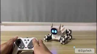 2024 hot sale 6 wheel RC smart robot