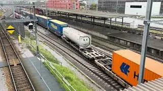Basel SBB Rb- Zug und Rangierfahrten