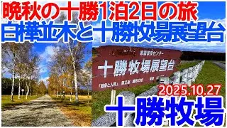 晩秋の十勝1泊2日の旅～十勝牧場の白樺並木と展望台十勝平野の眺望