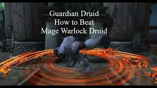 3000 Rating Guardian Druid How to Beat Mage/Warlock/Druid