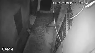 skinwalker caught on camera