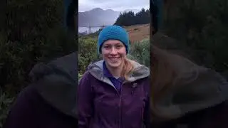We've decided to plant non-native species in Iceland - here's why #shorts