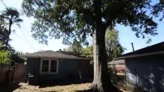 1714 Hafner Drive Houston TX 77055