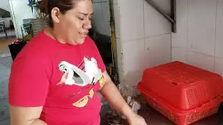 ASI SELINPIAN LOS CAMARONES 😋