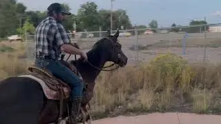 Cash on the trail