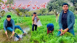 Sukoon Bhari Gaon ki Zindagi | Real Village life in Pakistan | Village Mud house living