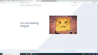 Speech Emotion Recognitioon