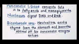 PANCREAS - Functions. The ENDOCRINE System. BSc Nursing PHYSIOLOGY 