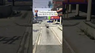 He should've stayed inside the shoe store😂 #gtaonline #gta5 #gta5online&nbsp;#gtaviral&nbsp;#fail