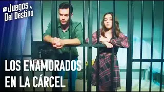 Voy Contigo A Cualquier Lugar | Los Primeros Pasos Del Amor
