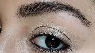 Sandstone Pearl Shimmer ShadowSense