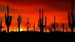 Sonoran Desert Holiday