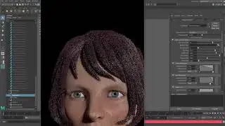 02 convert to MayaHair