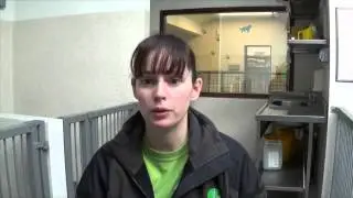 Irish Guide Dogs - Daniel O'Riordan