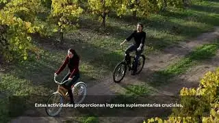 El agroturismo est&aacute; transformando la agricultura en California