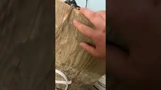Enmalled Copper Wire