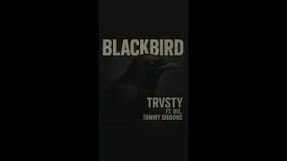 TRVSTY - BLACKBIRD FT. TOMMY GIBBONS, DEL