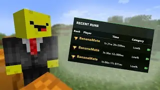 Taking Over an Insane Speedrun Category