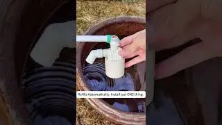 Never Have a Dry Water Tank Again! Automatic Refill Float Valve