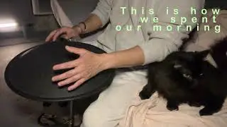 Personal Meditation Journal - Quiet time with Miss Mia - Novadrum D Celtic